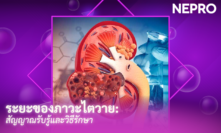 ระยะของภาวะไตวาย: สัญญาณรับรู้และวิธีรักษา