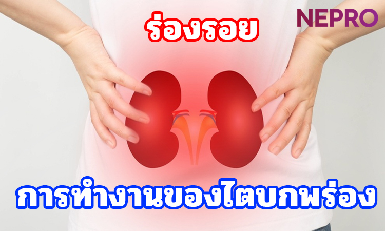 Dấu hiệu suy giảm chức năng thận