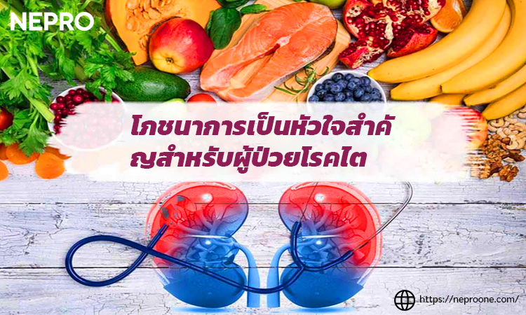 นมน้ำเหลืองสำหรับผู้ป่วยโรคไต