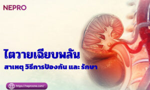 สาเหตุ วิธีการป้องกัน และ รักษาไตวายเฉียบพลัน